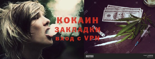 амф Арсеньев