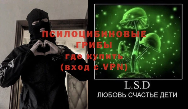 ешки Аркадак