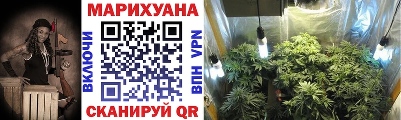 МАРИХУАНА SATIVA & INDICA  что такое   Сарапул 
